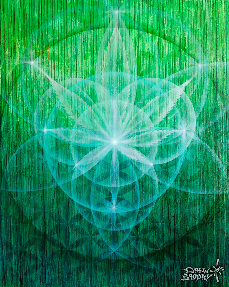Sweet Leaf Painting by Drew Brophy