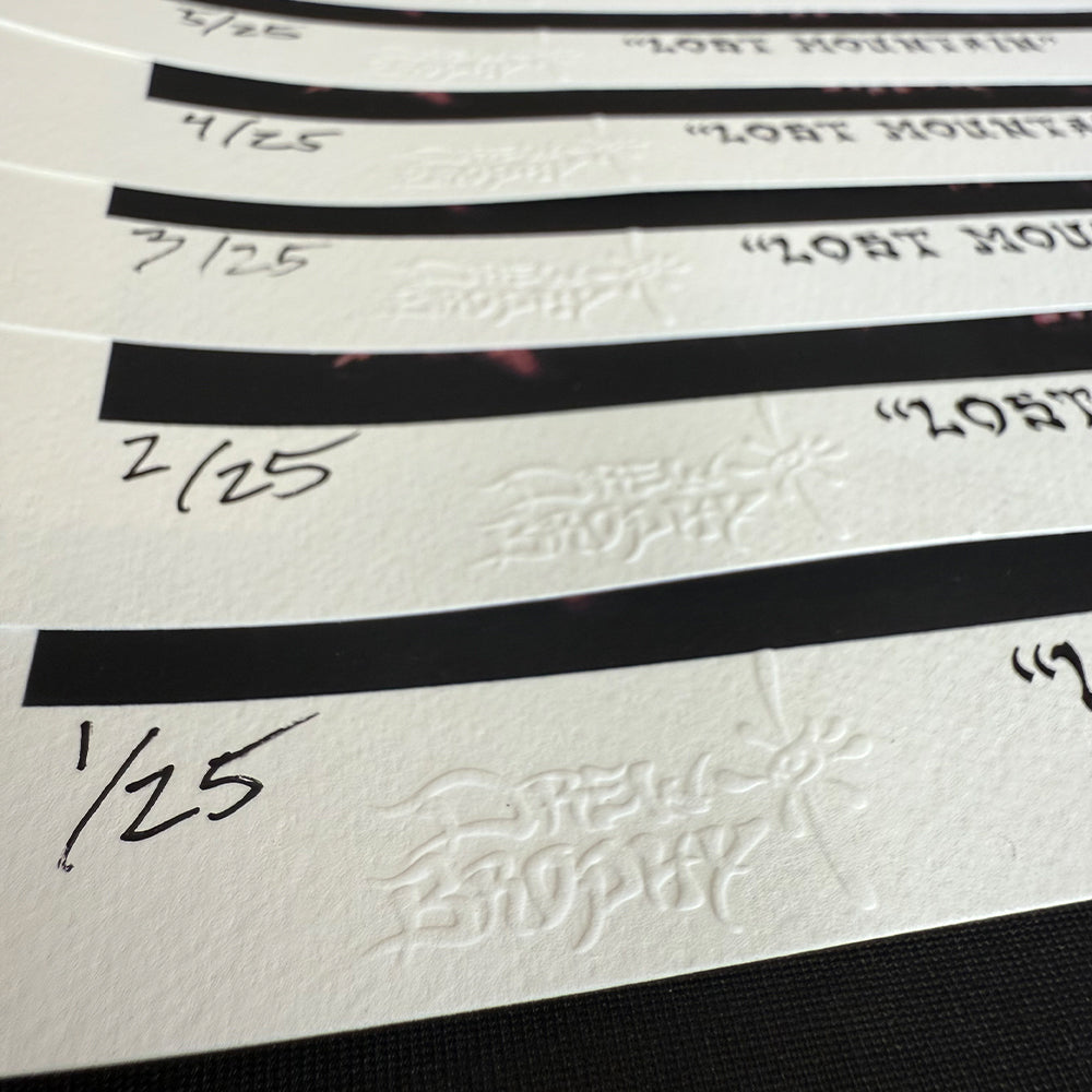 Lost Mountain Wall Art - Matt Biolos and Brophy Lib Tech Snowboard Art Collaboration