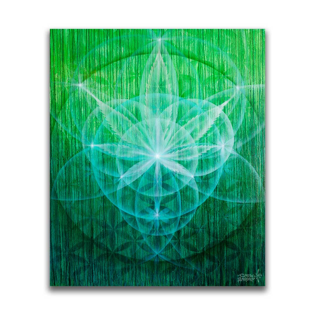 Sweet Leaf