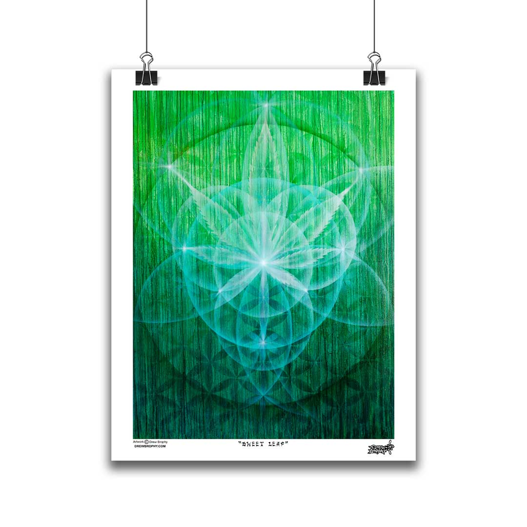 Drew Brophy Sweet Leaf Cannabis Geometry Artwork