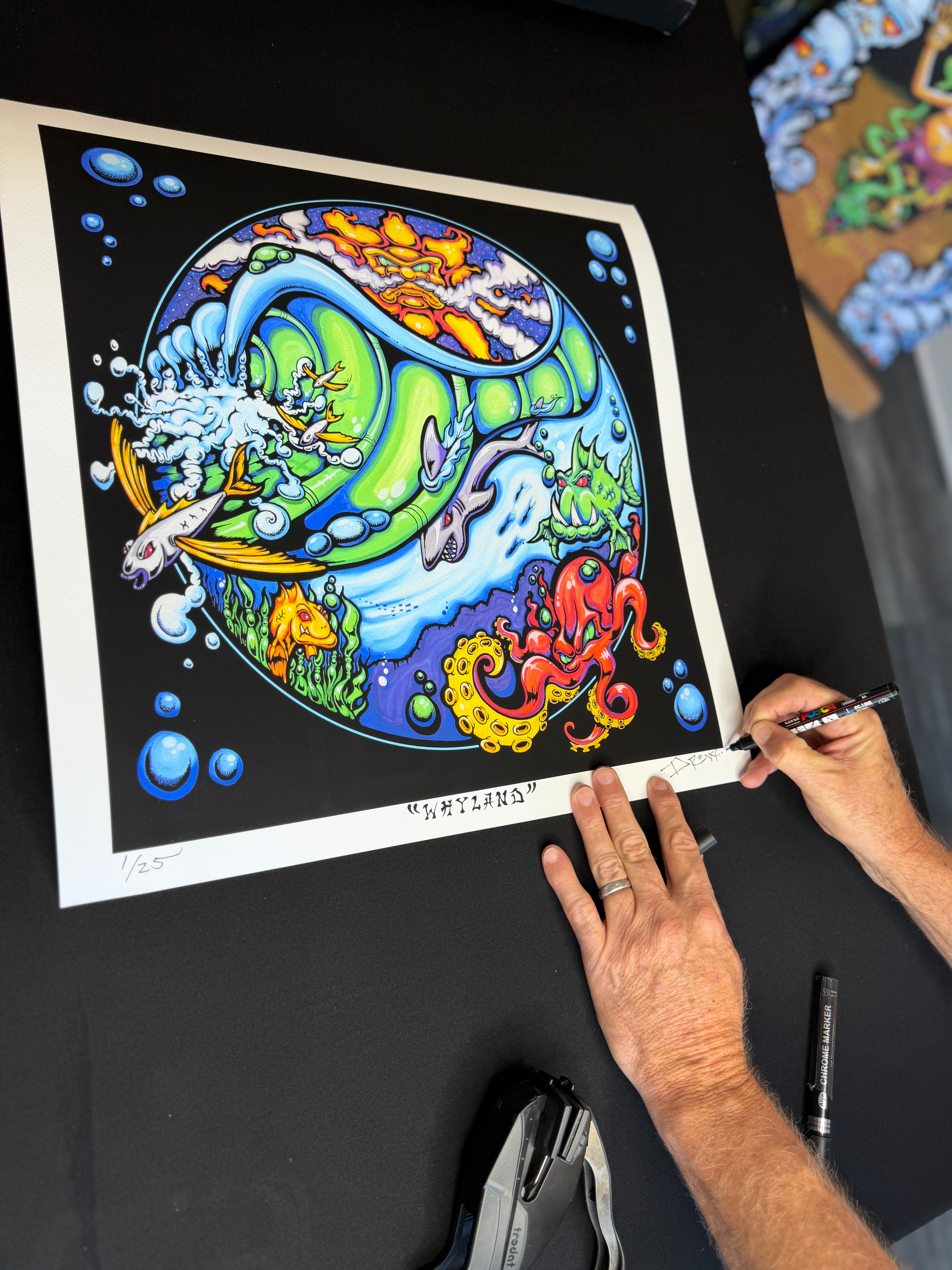 WhyLand Limited Edition by Drew Brophy